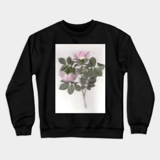 Rosa Canina Crewneck Sweatshirt